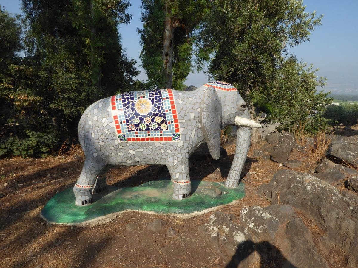 "Bakfar" Kfar Szold Country Lodging Villa Kefar Szold Luaran gambar